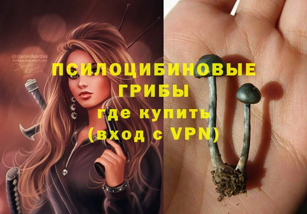 наркотики Дмитриев