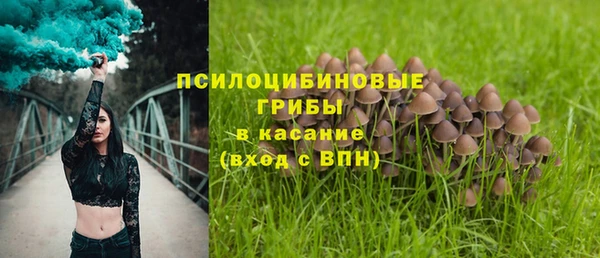 трава Дмитров