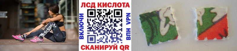 сколько стоит  Западная Двина  Марки NBOMe 1,5мг 