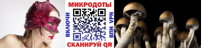 Псилоцибиновые грибы MAGIC MUSHROOMS  хочу наркоту  Западная Двина 