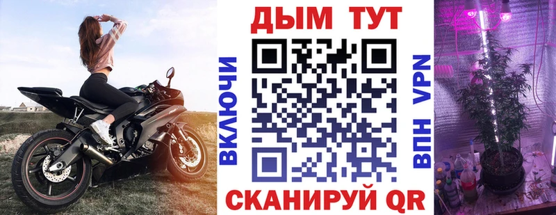 Канабис ГИДРОПОН  закладка  Западная Двина 